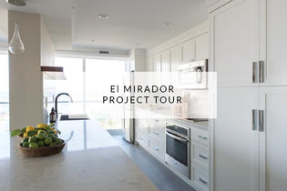  El Mirador Project Tour