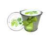 Garden in a Pail-Herbs