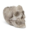 Skull Planter - Large