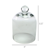 Mini Glass Dome