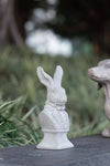 Rabbit Bust Accent