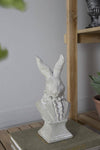 Rabbit Bust Accent
