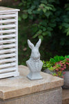 Rabbit Bust Accent