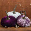 Pumpkin Large Velvet, Fall Mantel Decor, Halloween Table: Harvest