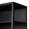 Ebony Bookcase