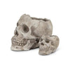 Skull Planter - Large
