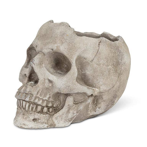 Skull Planter - Large
