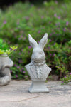 Rabbit Bust Accent