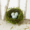 Decorative Robin's Egg Nest