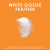 White Goose Feather Cushions: 26" x 26" / Medium