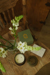 Wild Bergamot Candle