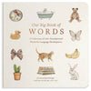 Our Big Book Of First Words