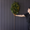 Magnolia Norfolk Cypress Mixed Real Touch Stems: Large Stem - 42"