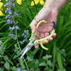 Garden Shears: Chartreuse