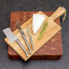 Jean Dubost 3pc Stainless Steel Cheese Set in Box