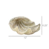 Cement Cast Clam Shell