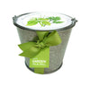 Garden in a Pail-Herbs