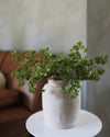 Green Wild Sedum Cluster 22.5"