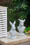 Rabbit Bust Accent
