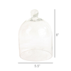 Small Glass Dome