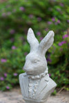 Rabbit Bust Accent