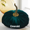 Pumpkin Extra Large Velvet, Fall Accent, Thoughtful Gift: Harvest
