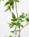 Artificial Tender Leaves 48"