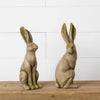 Mossy Rabbits