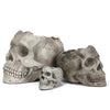 Skull Planter - Extra Large