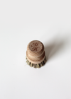Mexican Palm Pot Cleaning Brush
