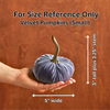 Pumpkin Small Velvet, Valentine's mantel, Autumn table, Gift: Emerald
