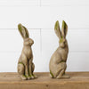 Mossy Rabbits