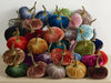 Pumpkin Large Velvet, Fall Mantel Decor, Halloween Table: Emerald