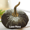 Pumpkin Large Velvet, Fall Mantel Decor, Halloween Table: Harvest