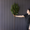 Magnolia Norfolk Cypress Mixed Real Touch Stems: Large Stem - 42"