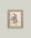 Watercolor Bunny Framed Antique Art