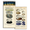 Seashell Specimen Matches