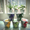 Garden in a Pail-Herbs