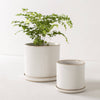 6" Minimal Planter | Glazed