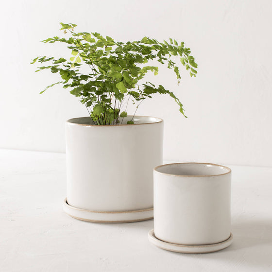 6" Minimal Planter | Glazed