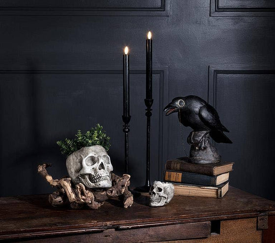 Skull Planter - Large