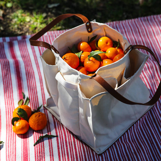 Blue Stripe Canvas Tote
