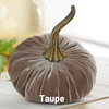 Pumpkin Large Velvet, Fall Mantel Decor, Halloween Table: Taupe