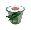 Garden in a Pail- Strawberry