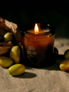 Ancient Agrigento Olive Tree Candle