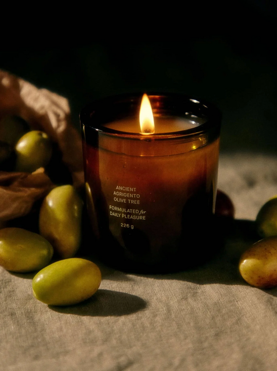 Ancient Agrigento Olive Tree Candle