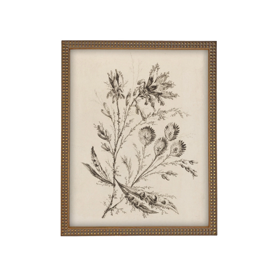 Botanical Branches