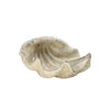 Cement Cast Clam Shell