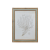 Wood Framed Coral Art