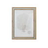 Wood Framed Coral Art